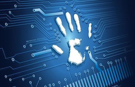 共筑网络家园安全防线——党的十八大以来我国网络安全工作成就综述